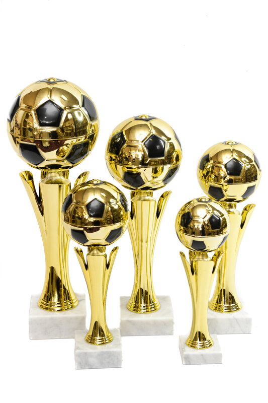 Trofej lopta 12520